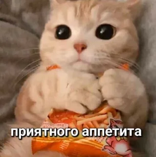 😁 emoji НужныеСтики Telegram sticker 20 of 120
