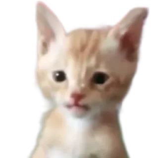 😼 emoji бредобед Telegram sticker 6 of 91