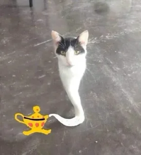 🧞 emoji котикиии @guitargun42 Telegram sticker 10 of 99