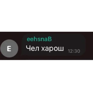 Sticker from удаленные анекдоты про Штирлица