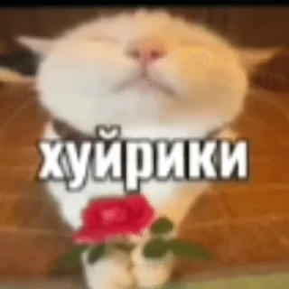 🌟 emoji Людское Telegram sticker 18 of 117