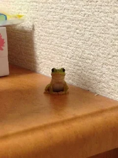 🫥 emoji Жабики 🐸 Telegram sticker 7 of 25