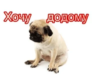 🌟 emoji Пийте, діти, квас Telegram sticker 10 of 57