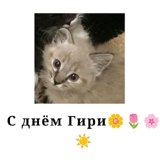 🌟 emoji От Рубильника😈 Telegram sticker 14 of 24