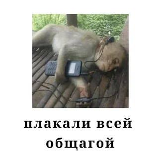 🌟 emoji От Рубильника😈 Telegram sticker 7 of 24