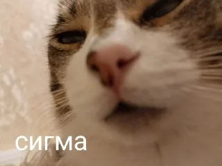 Sticker from кекс