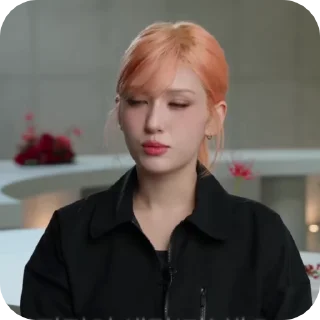 🪴 emoji Ꮪᴏʍi vid @AMO_NIKA Telegram sticker 17 of 30