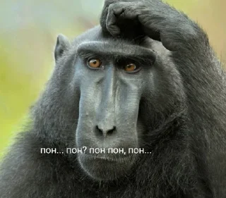 🤔 emoji огурчеке by @C21H21NO3 Telegram sticker 9 of 27