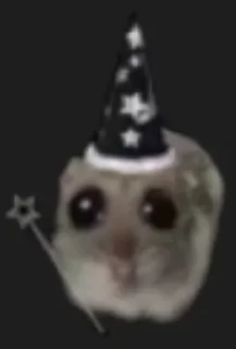 🌟 emoji хомячки Telegram sticker 19 of 55