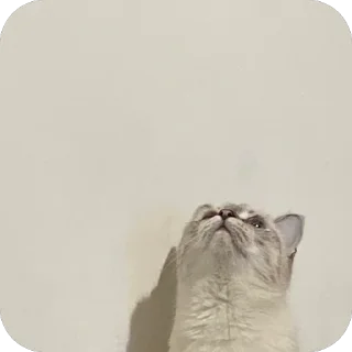 ☁️ emoji айла не в восторге Telegram sticker 20 of 57