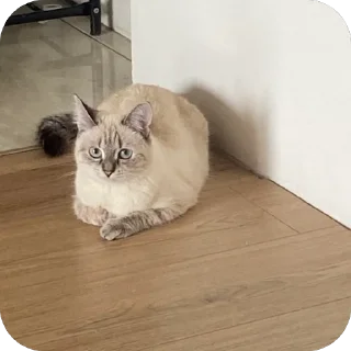 🙁 emoji айла не в восторге Telegram sticker 17 of 57