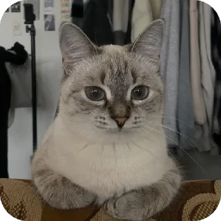 🙂 emoji айла не в восторге Telegram sticker 5 of 57