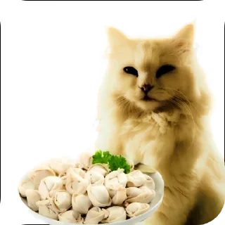 🐱 emoji Просто ржачные коты Telegram sticker 13 of 104