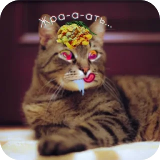 🐱 emoji Просто ржачные коты Telegram sticker 16 of 104