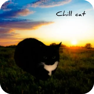 🐱 emoji Просто ржачные коты Telegram sticker 12 of 104