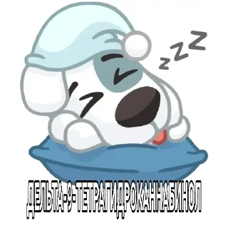 Sticker from Я идиот