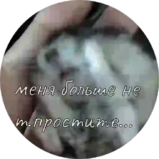 😀 emoji Хомячок Елизавета ❤️👼 Telegram sticker 6 of 16