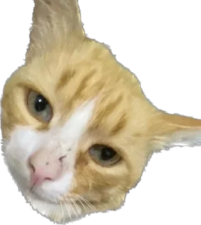 🌟 emoji Мун и дед Telegram sticker 20 of 34