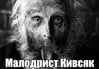 ☺️ emoji Святожир бибосад Telegram sticker 5 of 46