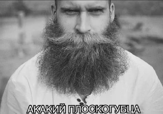 Sticker from Святожир бибосад