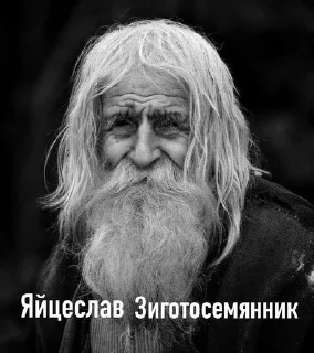 😊 emoji Святожир бибосад Telegram sticker 9 of 46