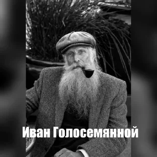 🌟 emoji Святожир бибосад Telegram sticker 16 of 46