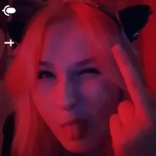 🖕 emoji хомячок Telegram sticker 19 of 24