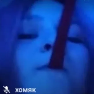 Sticker from хомячок