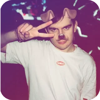 ✋ emoji Розовеньки собак Telegram sticker 14 of 42