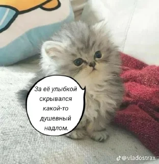 🤭 emoji Котофуцианство Telegram sticker 5 of 120