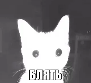🌟 emoji Насвай Telegram sticker 11 of 117