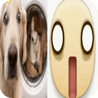 🐶 emoji Cats are so cute Telegram sticker 13 of 34