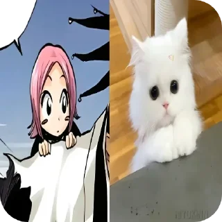 Sticker from Cats are so cute