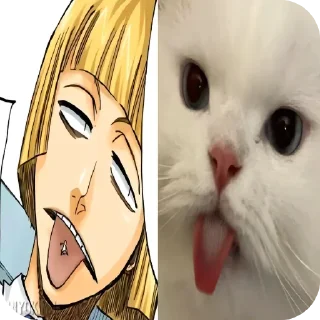 👍 emoji Cats are so cute Telegram sticker 6 of 34