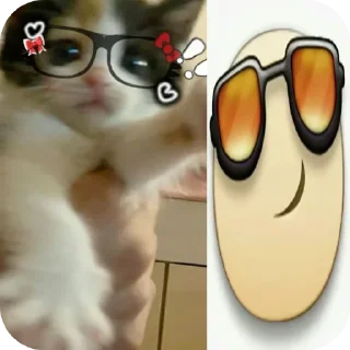👍 emoji Cats are so cute Telegram sticker 14 of 34