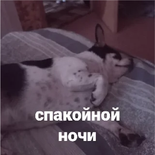 😴 emoji осек Telegram sticker 14 of 53