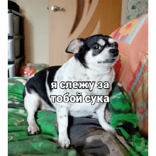 🧐 emoji осек Telegram sticker 11 of 53
