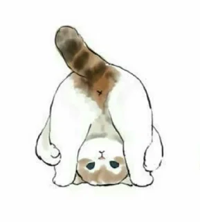 🍑 emoji Котики Telegram sticker 23 of 30