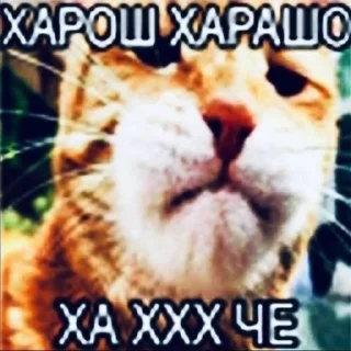 🌟 emoji мемы от @pisabista Telegram sticker 8 of 15