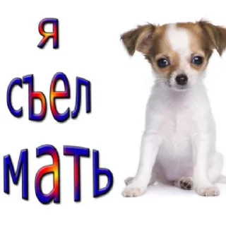 ☠️ emoji олежа кладмен Telegram sticker 8 of 48