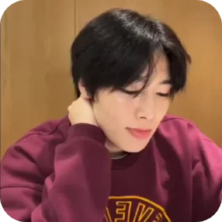 🌟 emoji JEONING |@STRAYKIDS_WIENER| Telegram sticker 16 of 22