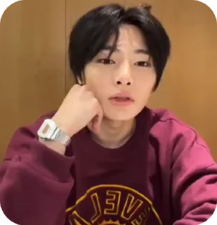 🌟 emoji JEONING |@STRAYKIDS_WIENER| Telegram sticker 13 of 22