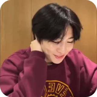 🌟 emoji JEONING |@STRAYKIDS_WIENER| Telegram sticker 17 of 22