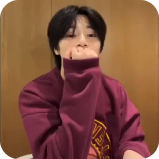 🌟 emoji JEONING |@STRAYKIDS_WIENER| Telegram sticker 15 of 22