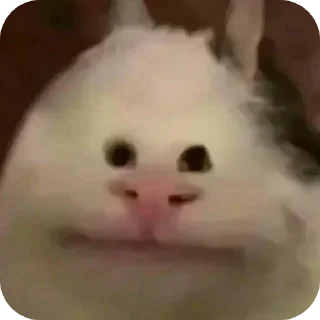 🤲 emoji СТИКИ ДЛЯ ДОЛБАЕБИЗМА! Telegram sticker 9 of 120