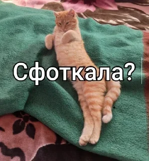 📷 emoji Ти МурБлять! @Jesus_condemns Telegram sticker 13 of 55
