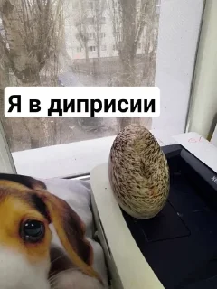 ☹️ emoji Хренобус БЛОПТОП Telegram sticker 14 of 15