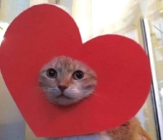 😚 emoji Пон Telegram sticker 9 of 21