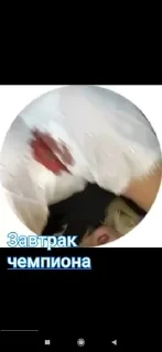 😻 emoji Эй арнольд Telegram sticker 11 of 75