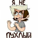 Sticker from Windy31